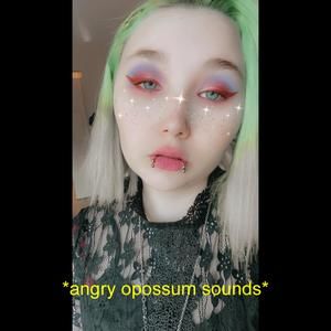 Meet your Posher, Peyton